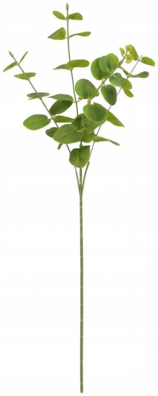 Kwiaty gałązka eukaliptus 63 cm Home And Garden (2006)