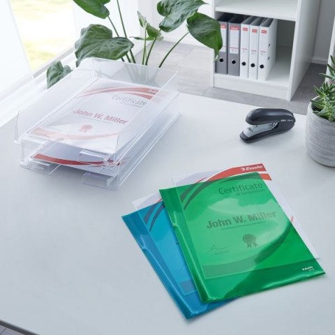 Ofertówka A4 kolor: niebieski typu L 150 mic. Esselte (55435)