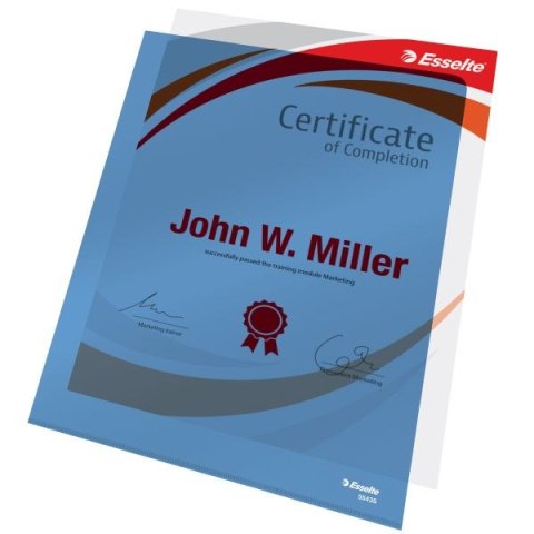 Ofertówka A4 kolor: niebieski typu L 150 mic. Esselte (55435)