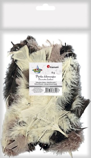 Piórka Craft-Fun Series mix Titanum (16079F)