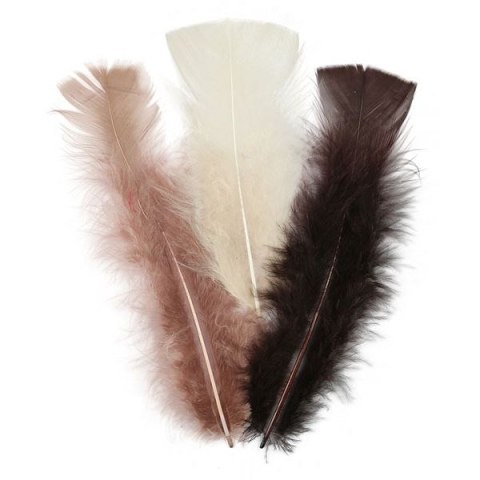 Piórka Craft-Fun Series mix Titanum (16079F)