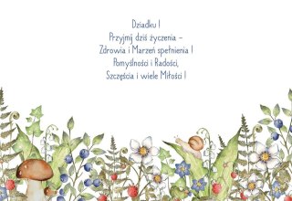 Kartka składana Karnet B6 BiDZ LAS DZIADEK B6 Henry (5905701487592)