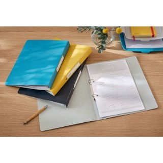 Segregator ringowy Cosy A4 32mm szary Leitz (42380089)