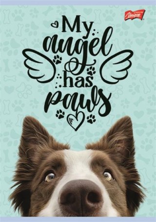 Zeszyt ZESZYT DO SŁOWEK A6 16k. 70g krata Unipap