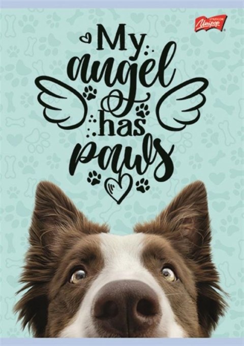 Zeszyt ZESZYT DO SŁOWEK A6 16k. 70g krata Unipap