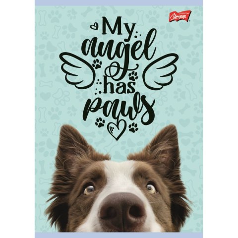 Zeszyt ZESZYT DO SŁOWEK A6 16k. 70g krata Unipap