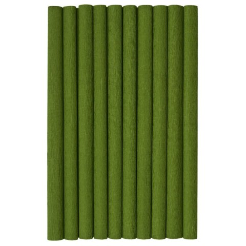 Bibuła marszczona oliwkowy 2000mm x 500mm TOP-2000 (400153922)