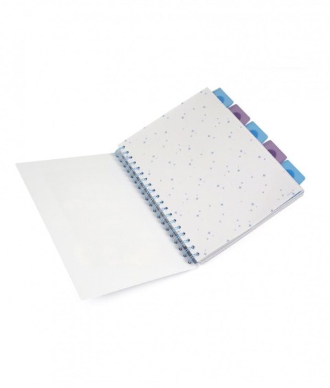 Kołobrulion Disney B5 100k. 80g krata Patio (74999PTR)