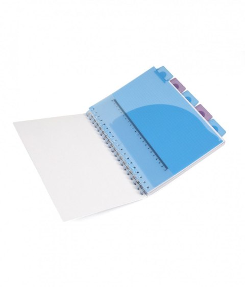 Kołobrulion Disney B5 100k. 80g krata Patio (74999PTR)
