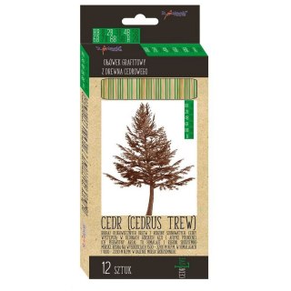 Ołówek ołówek cedrowy St.Majewski (HB-2H)