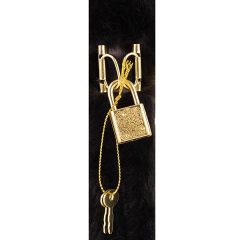 Pamiętnik Fluffy Kitty Black A5 Astrapap (101025001)