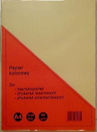 Papier kolorowy A4 mix 80g Rogatin