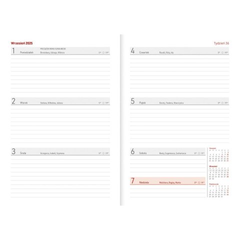 Kalendarz nauczyciela książkowy (terminarz) CZARNY NEBRASKA Z GUMKĄ A5 Wydawnictwo Wokół Nas (A5TN070B-)