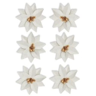 Kwiaty poinsecja Argo (252038)