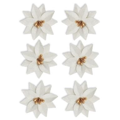 Kwiaty poinsecja Argo (252038)