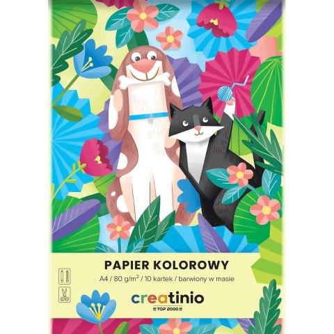 Papier kolorowy Creatinio A4 mix 80g Top 2000 (400176684)