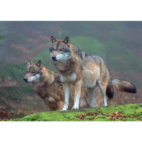 Kalendarz ścienny LEŚNI PRZYJACIELE rodzinny 2026 280mm x 400mm Lucrum (WL07)