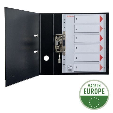 Przekładka numeryczna A4 szara 6k 1-6 Esselte (100104)