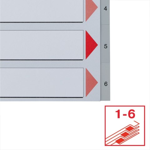 Przekładka numeryczna A4 szara 6k 1-6 Esselte (100104)