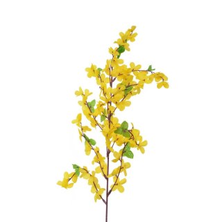 Gałązka forsycji z liśćmi Arpex (VW9296)