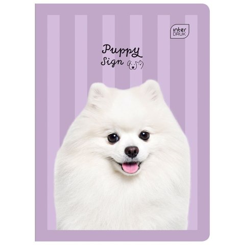 Zeszyt A5 16k. 70g krata Interdruk