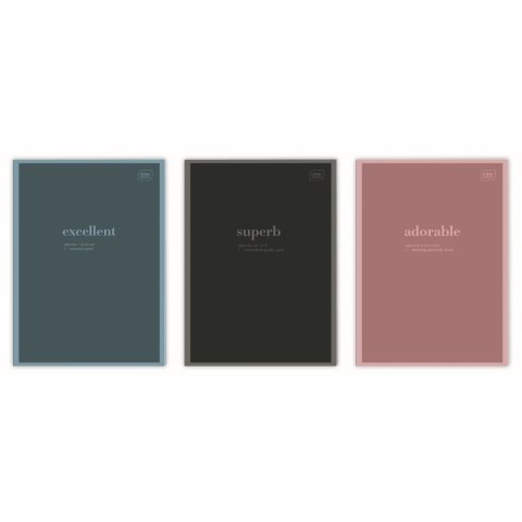 Zeszyt HYBRID WORDS A4 60k. 70g linia Interdruk (ZEA460=MSG)