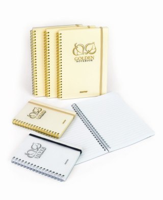Kołozeszyt (kołonotatnik) Golden&Silver A5 80k. 80g linia Mintra (92648)