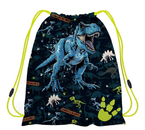 Worek na buty Dino Starpak (550836)