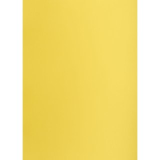 Brystol ŻÓŁTY B2 żółty 225g 25k Creatinio (400150334)