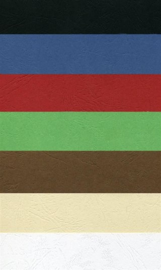 Karton do bindowania A3 czarny Argo (432021)