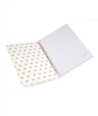 Kołobrulion Disney B5 100k. 80g krata Patio (75026PTR)