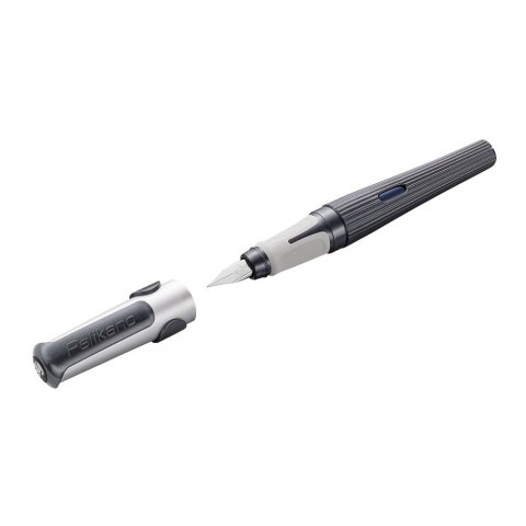 Pióro wieczne Pelikano P480/M mix Pelikan (300009992)