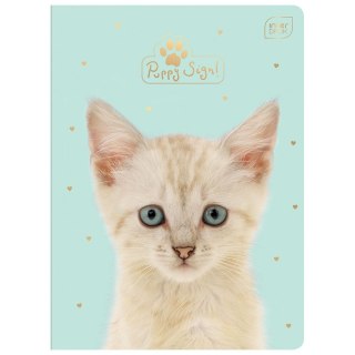 Zeszyt PUPPY SIGN A5 32k. 70g krata Interdruk (ZE32#PUP)