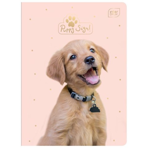 Zeszyt PUPPY SIGN A5 32k. 70g krata Interdruk (ZE32#PUP)