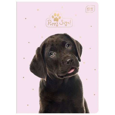 Zeszyt PUPPY SIGN A5 32k. 70g krata Interdruk (ZE32#PUP)