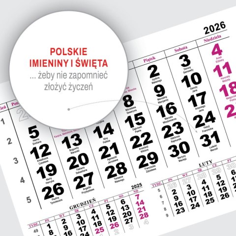 Kalendarz ścienny JEDNODZIELNY PIES A4 210mm x 295mm Press