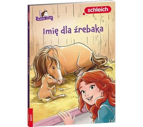 Książeczka edukacyjna HORSE CLUB. Imię dla źrebaka Ameet (LNR 8401)