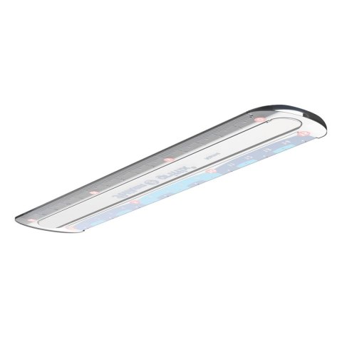 Linijka plastik Griffix 822275 15cm Pelikan (300000445)