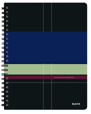 Notes (notatnik) EXECUTIVE PROJECT BOOK A4 80k. linia Leitz (44680000)