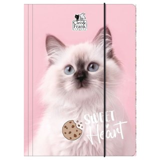 Teczka kartonowa na gumkę Cleo i Frank A4 mix Derform (TGA4CF45)