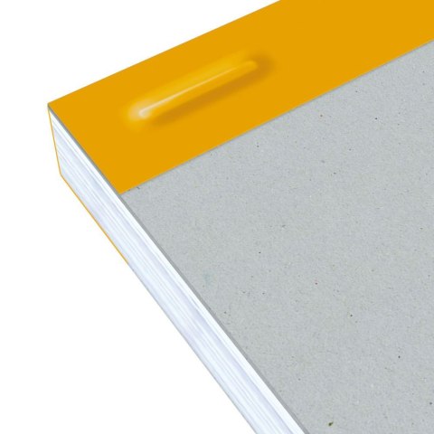 Notes (notatnik) Everyday A5 80k. krata [mm:] 148x210 Oxford (100106280)
