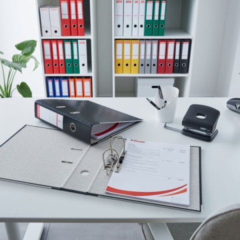 Segregator dźwigniowy Ekonomiczny A4 75mm zielony Esselte (11256)