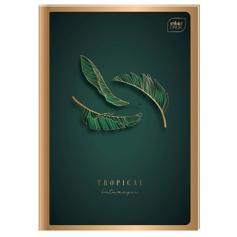 Brulion B5 96k. 70g krata Interdruk (BRB596P)