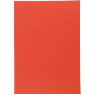 Brystol Iris 14 A3 pomidorowy 185g 50k [mm:] 297x420 Canson (200040193)
