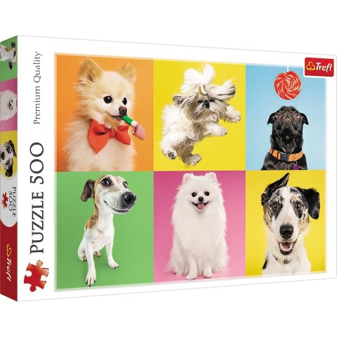 Puzzle Psy 500 el. Trefl (37378)