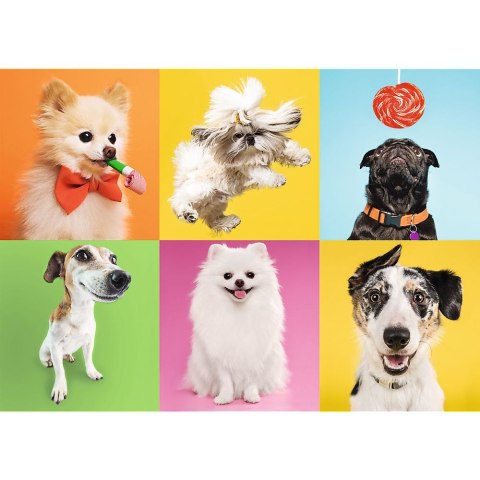 Puzzle Psy 500 el. Trefl (37378)