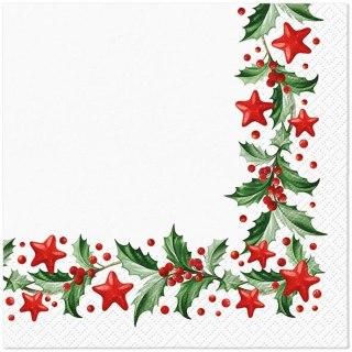 Serwetki BN mix bibuła [mm:] 330x330 Paw (TL234600)