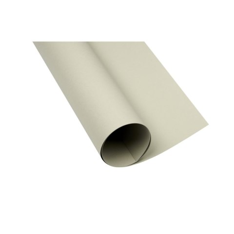 Brystol A1 szary 160g 25k [mm:] 610x860 TOP-2000 (400149523)