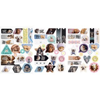 Naklejka na zeszyt THE SWEET PETS 9457 Beniamin