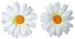 Ozdoba materiałowa Craft-Fun Series margerytki 4 szt. Titanum (D-TZW-230605B)